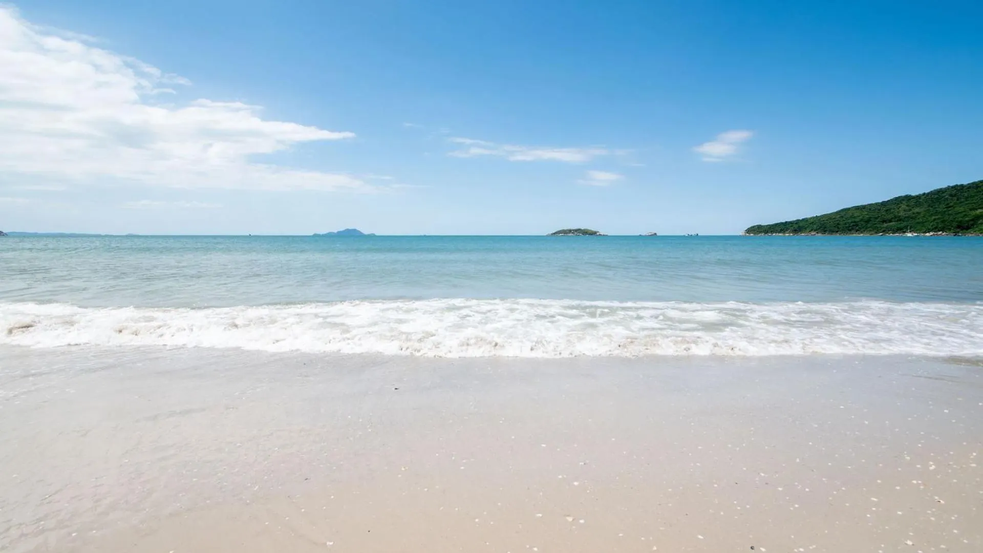 Apt A 100M Da Praia Dos Ingleses Ing4101 Florianópolis 0*,